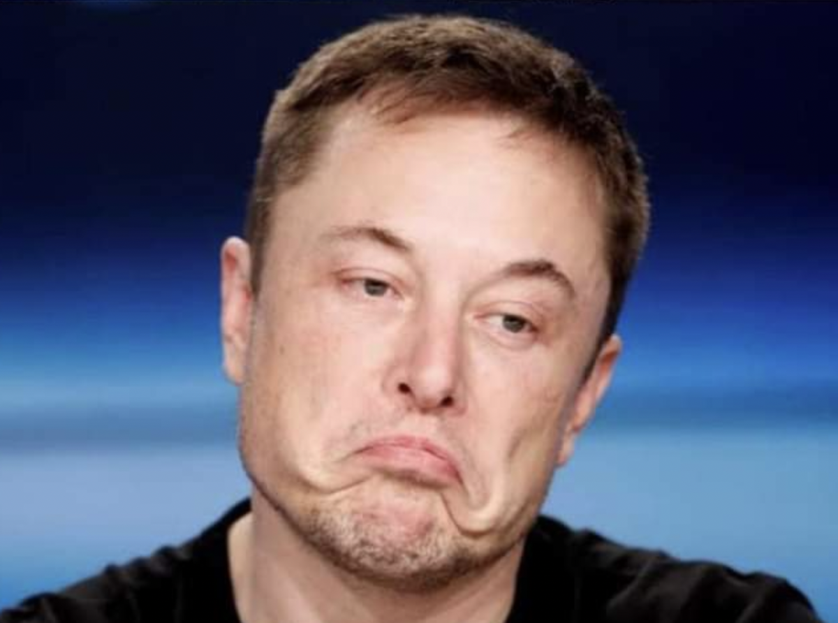 Elon Wars